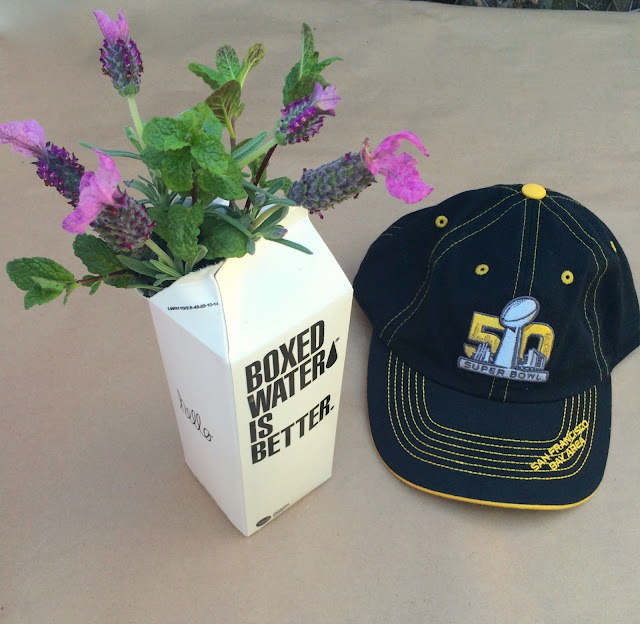 The Hangover Bouquet - Floral Relief Arrangement, Perfect Gift Idea for Super Bowl Monday! | www.jacolynmurphy.com
