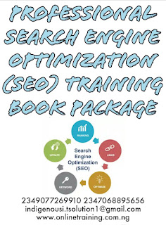 Professional Search Engine Optimization (SEO) Training