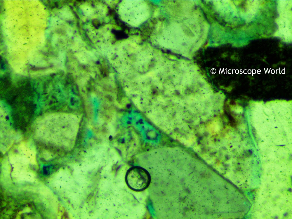 Geologist microscope image using the 1/4 wave plate.