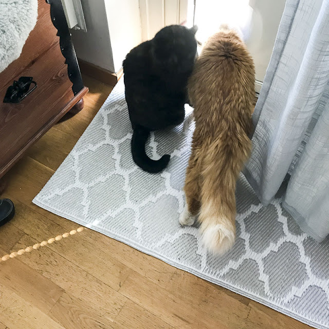 alice och gustav alice, gustav