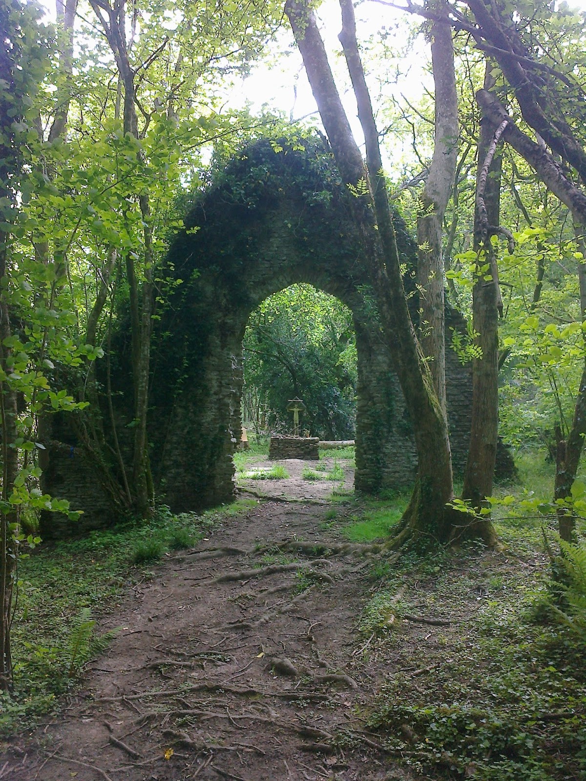 Seven Miles of Steel Thistles In the Green Chapel