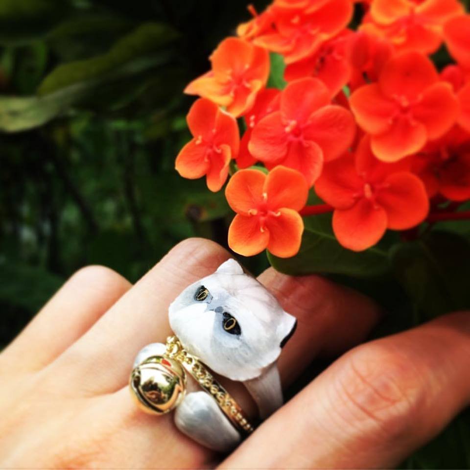 Four Paws Ring Four Paws Ring