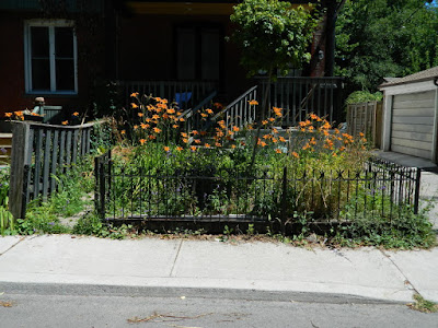 Leslieville Frontyard Garden Summer Cleanup Before by Paul Jung Gardening Services--a Toronto Gardening Company Leslieville Frontyard Garden Summer Cleanup Before by Paul Jung Gardening Services--a Toronto Gardening Company