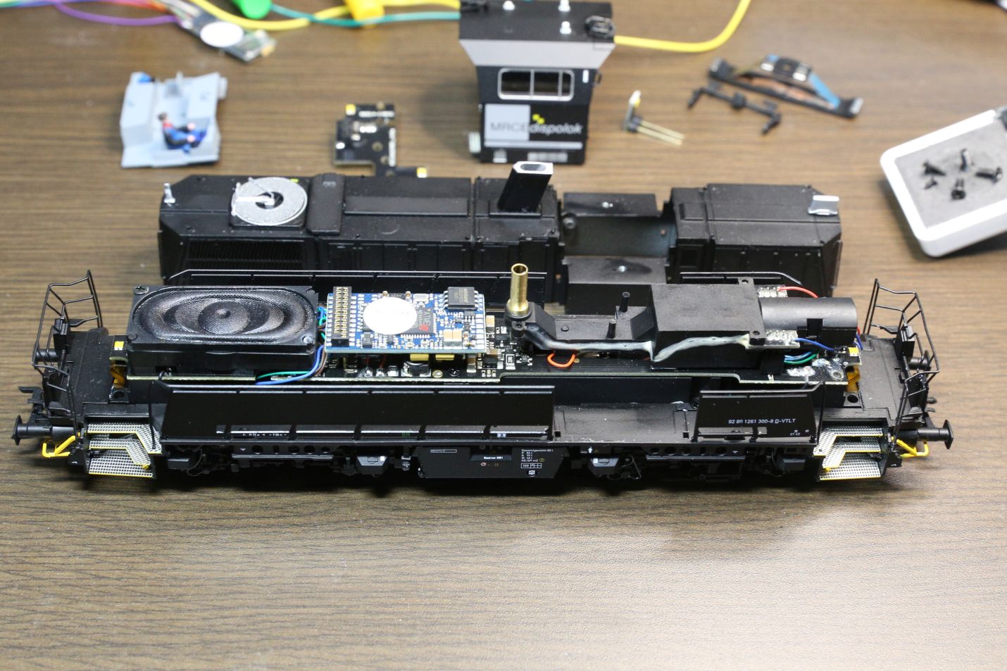 クマが史上初めて脳手術を受ける