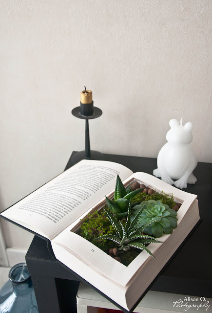 DIY livre végétal création