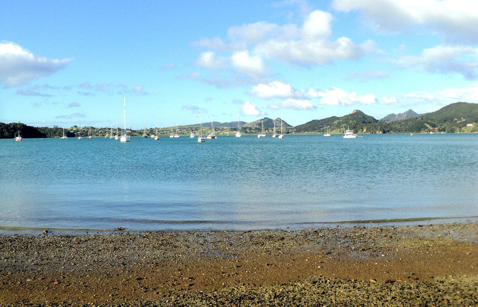 Licorice Allsorts Parua Bay... A Winter Afternoon...