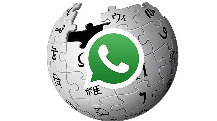 Use WhatsApp As A Search Engine And Wikipedia By Activating ...