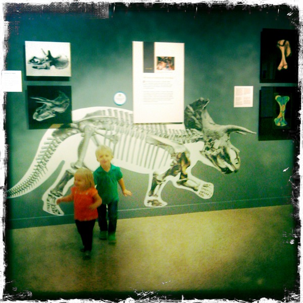 national history museum diplodocus