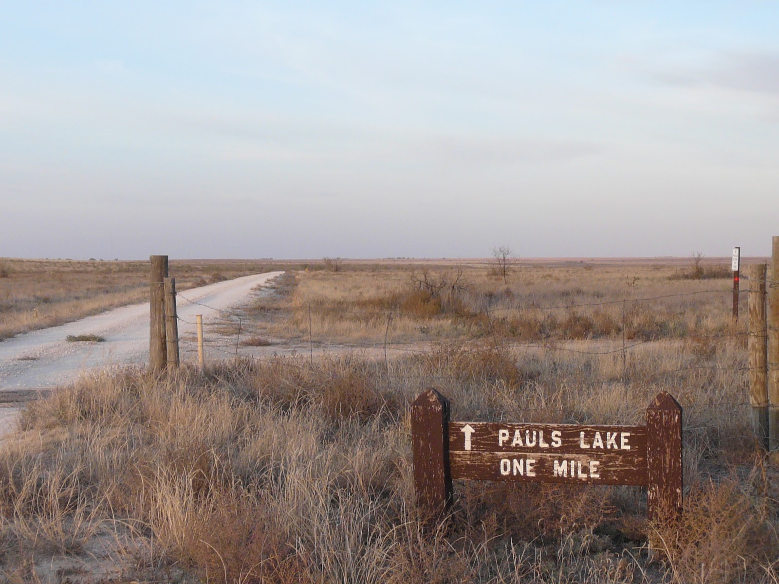 Archiving throughout Arizona, New Mexico, Oklahoma, and Texas Muleshoe