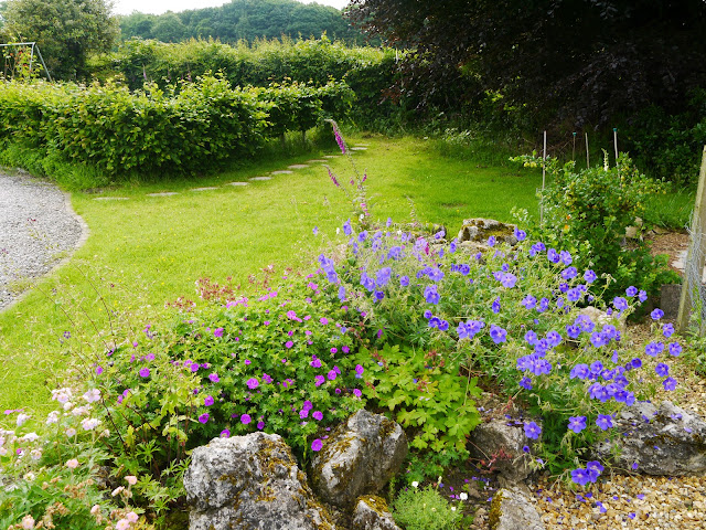 Angie S Garden Diaries
