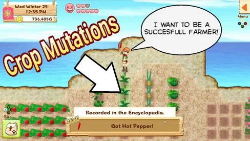 Crops and Crop Mutations - Harvest Moon: Light of Hope