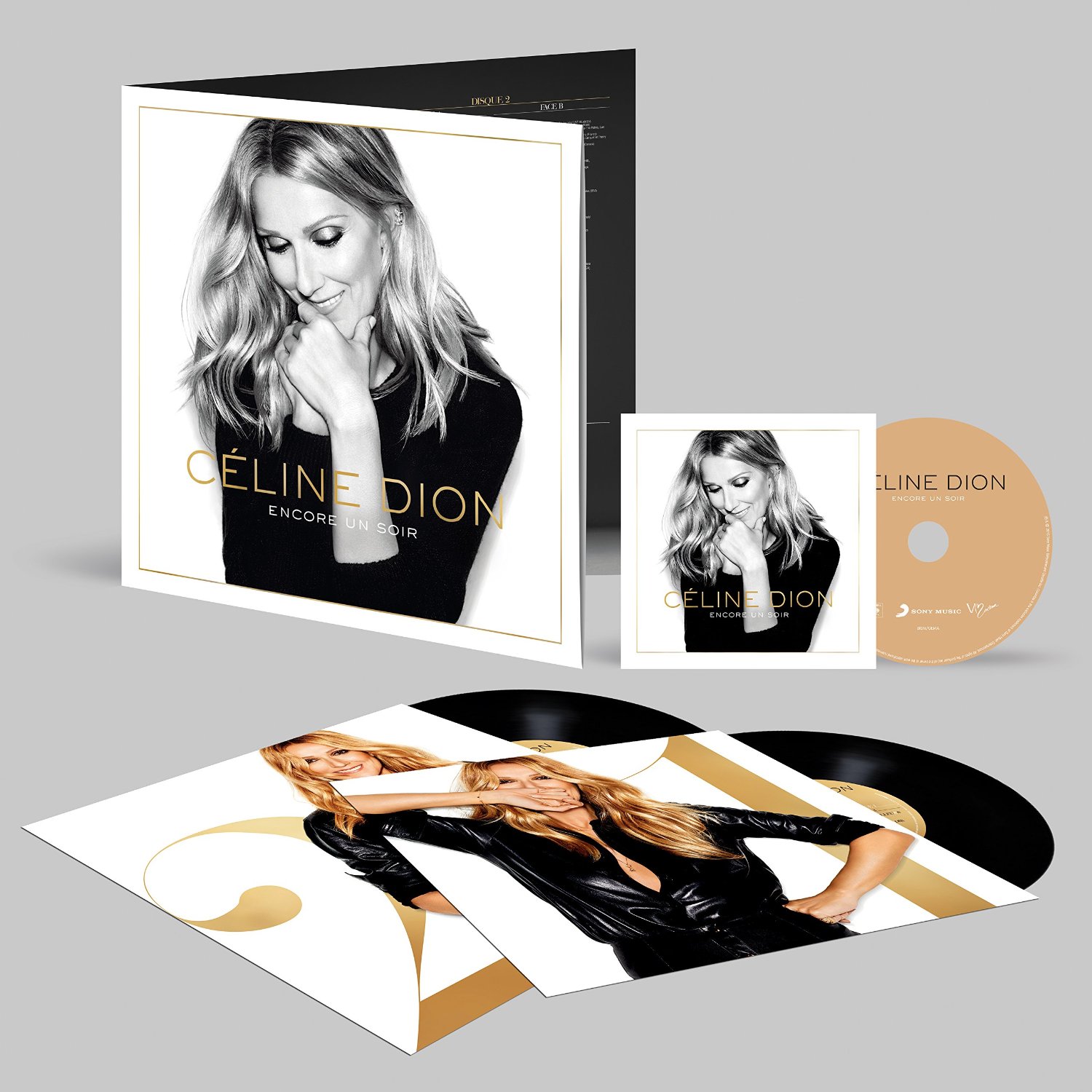 Новый альбом Celine Dion - Encore un soir