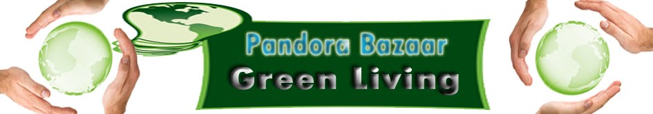 Pandora Bazaar Green Living