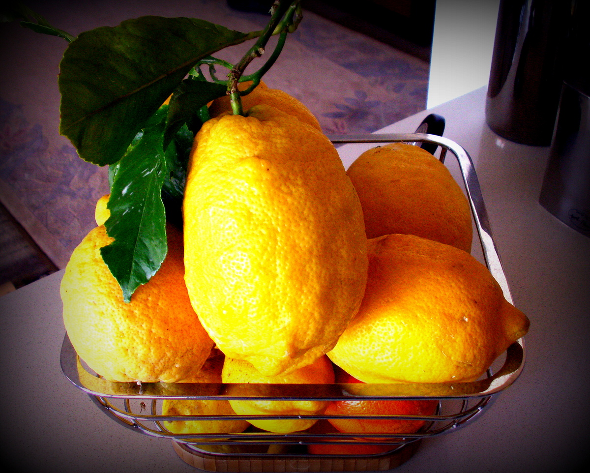 Почему лимон желтый. Португальские лимоны. Апельсины, сетка.