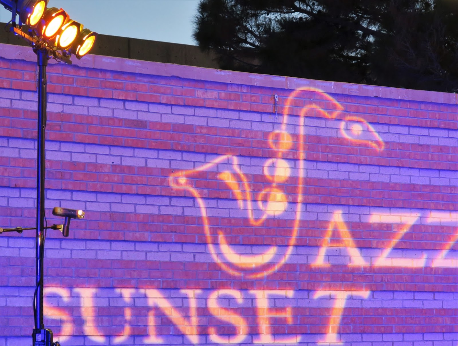 Living Rootless El Paso Jazz at Sunset