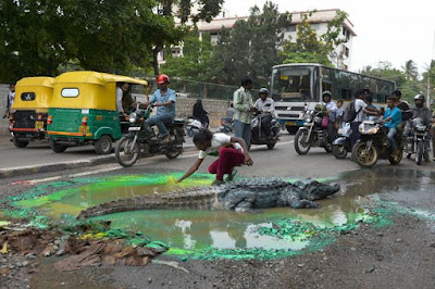 Visual artist Baadal Nanjundaswamy  puts Crocodile on Road pot hole to get officials to Fix it! h