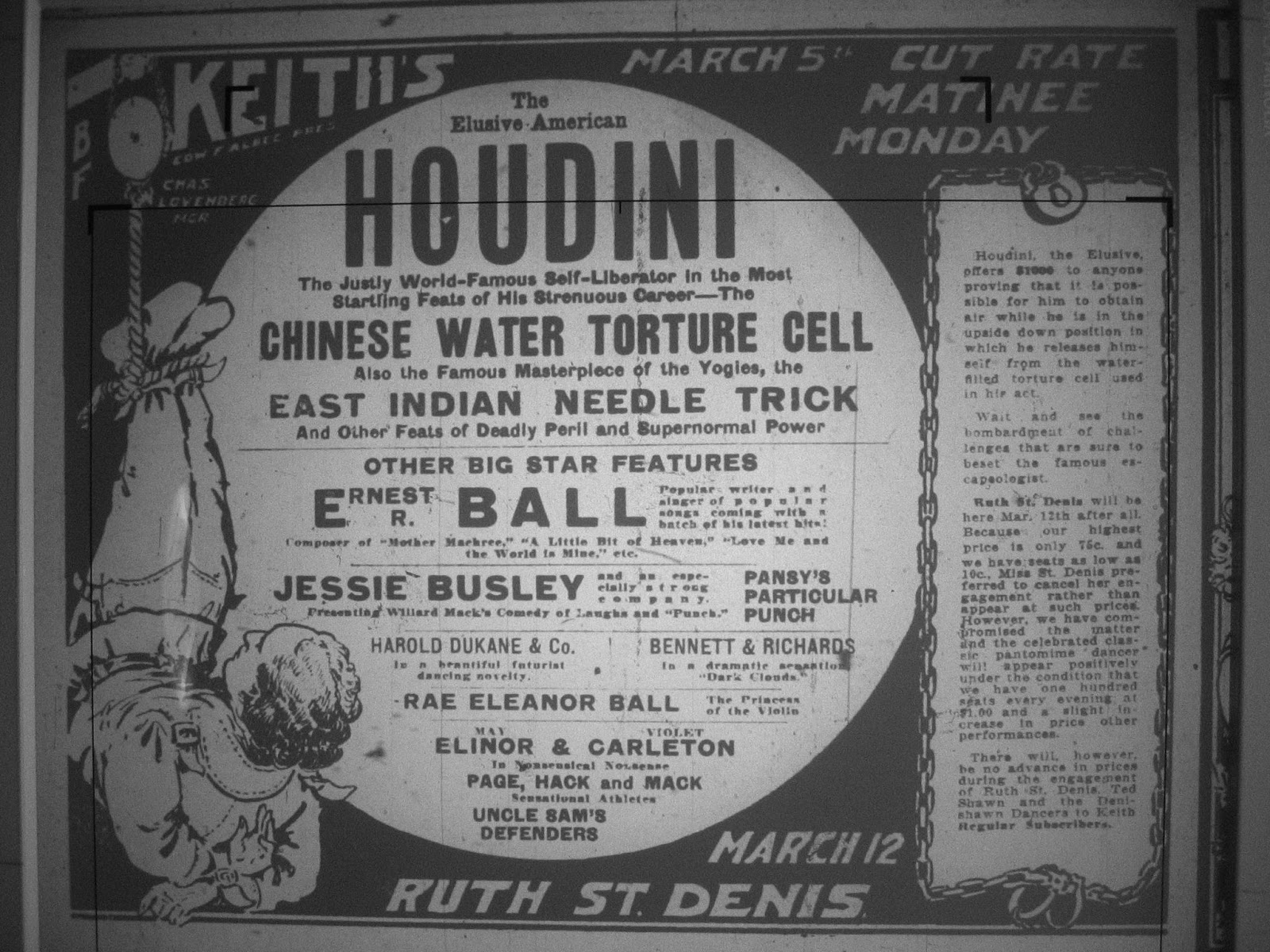 Wild About Harry March 2017