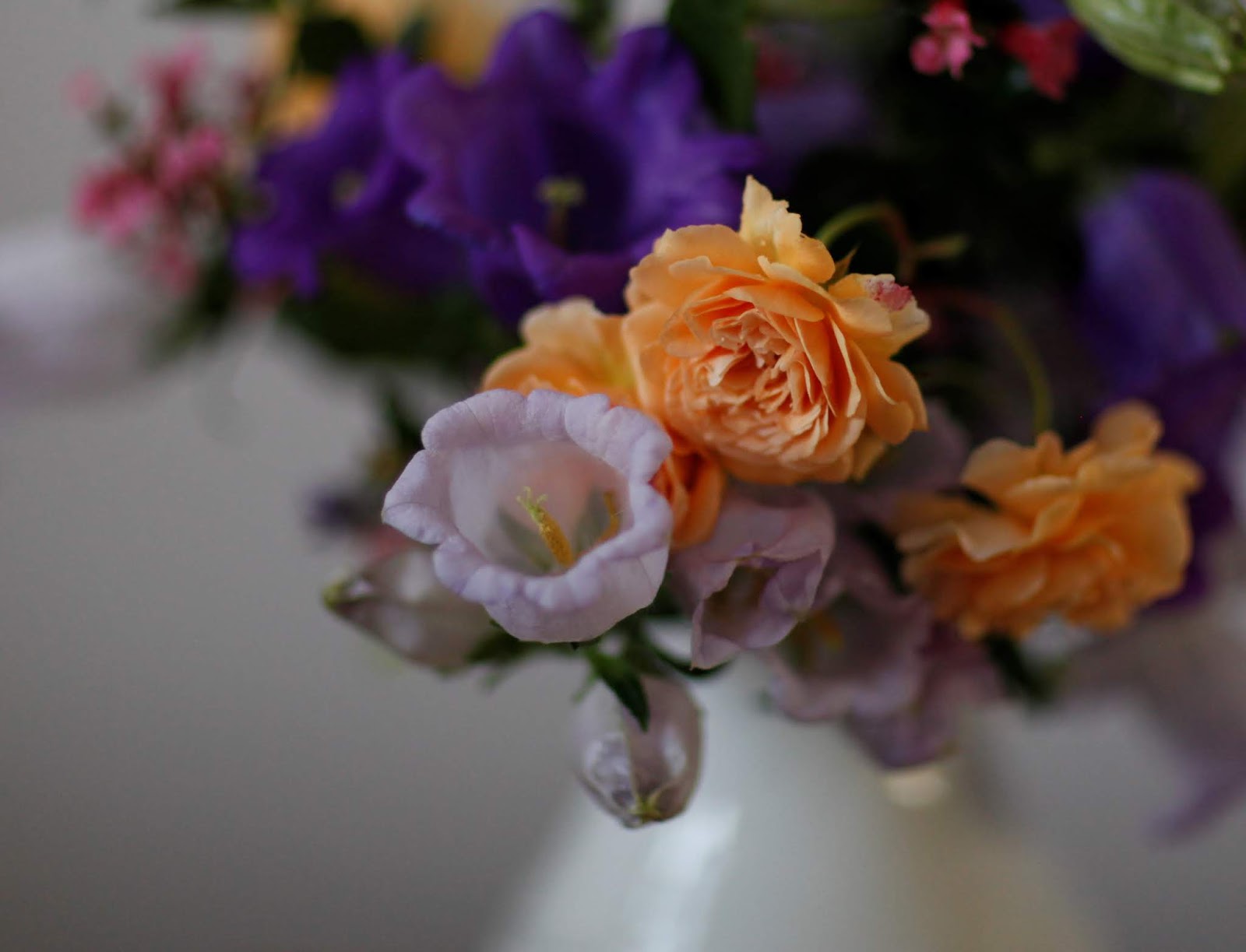 Angie S Garden Diaries