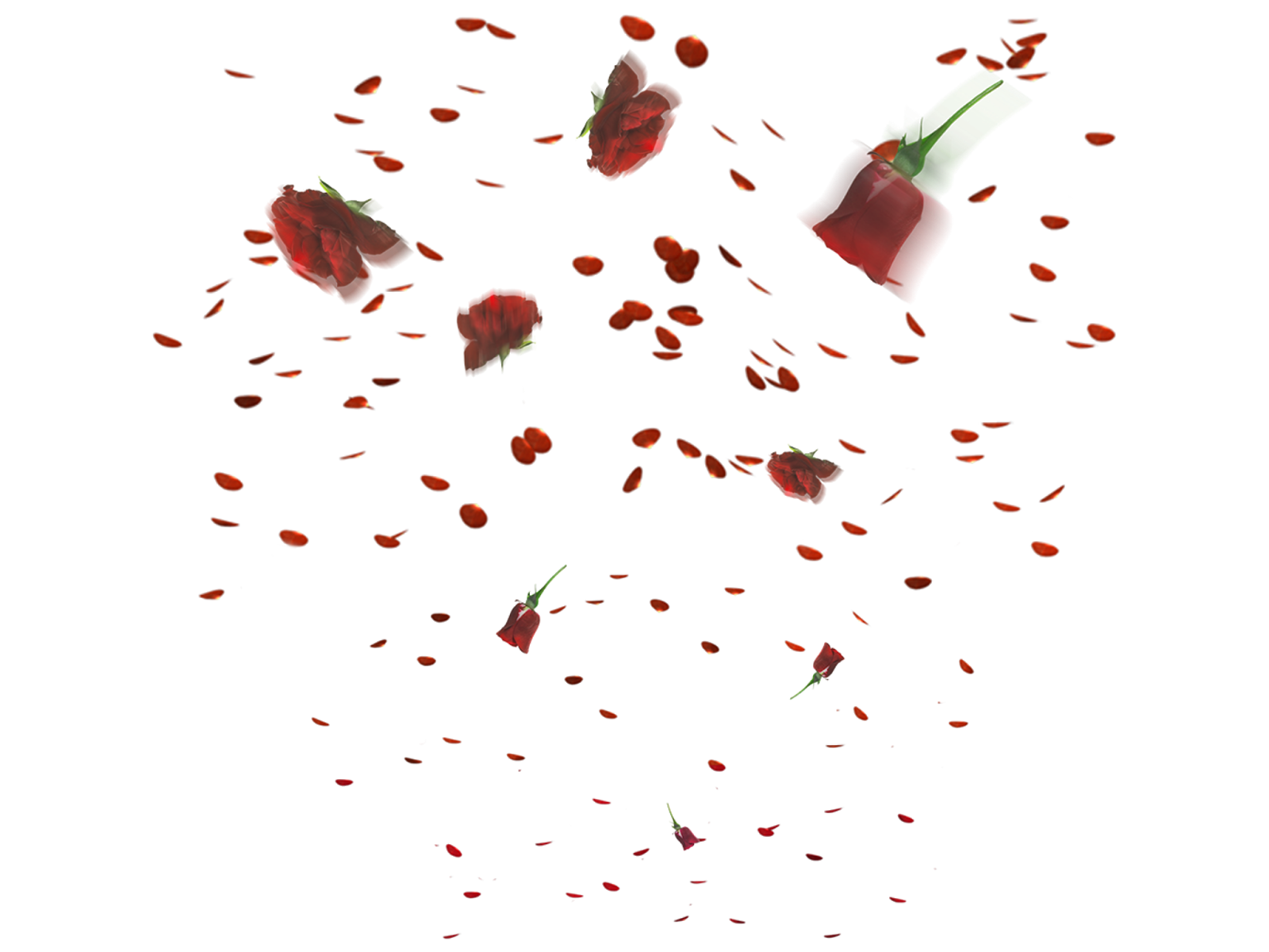 PRINCE EDITX SOME FLOWER'S EFFECT'S PNG...!!