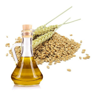 Olio di germe di grano Olio di germe di grano