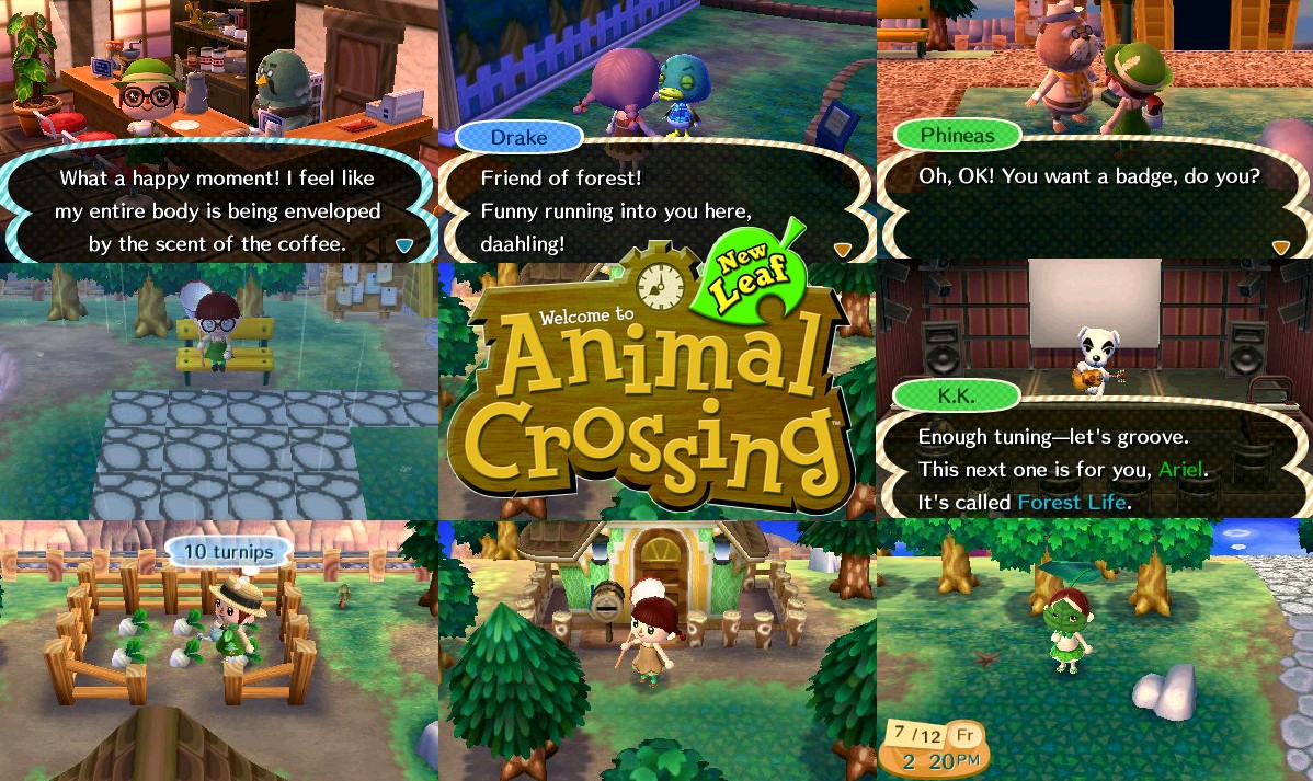The Forest Animal Crossing New Leaf is a Fun Forest Video Game