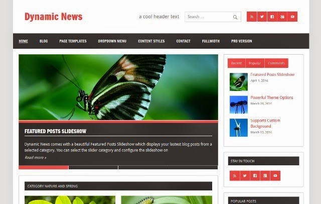 Dynamic News Lite - WordPress Theme for Magazine