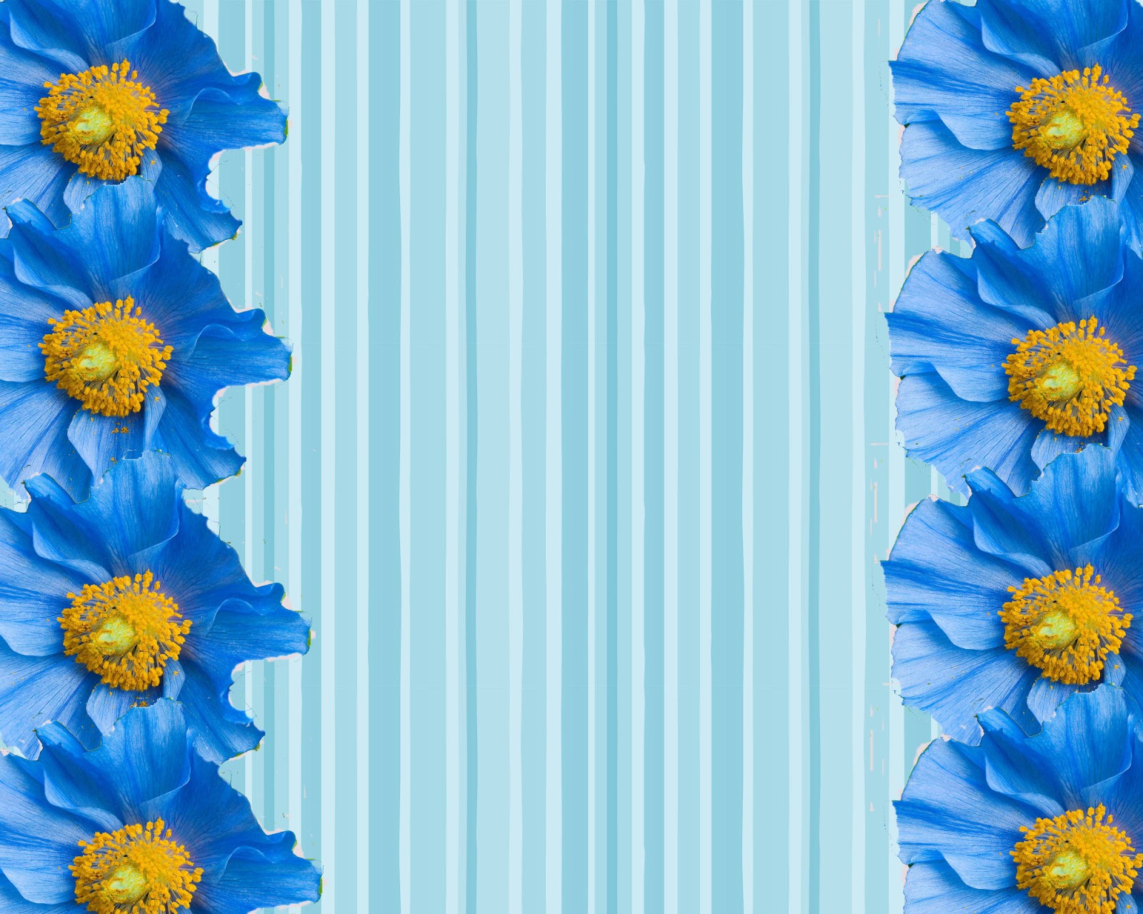 Blue Flower Borders and Frames Desktop Background (1600 x 1280