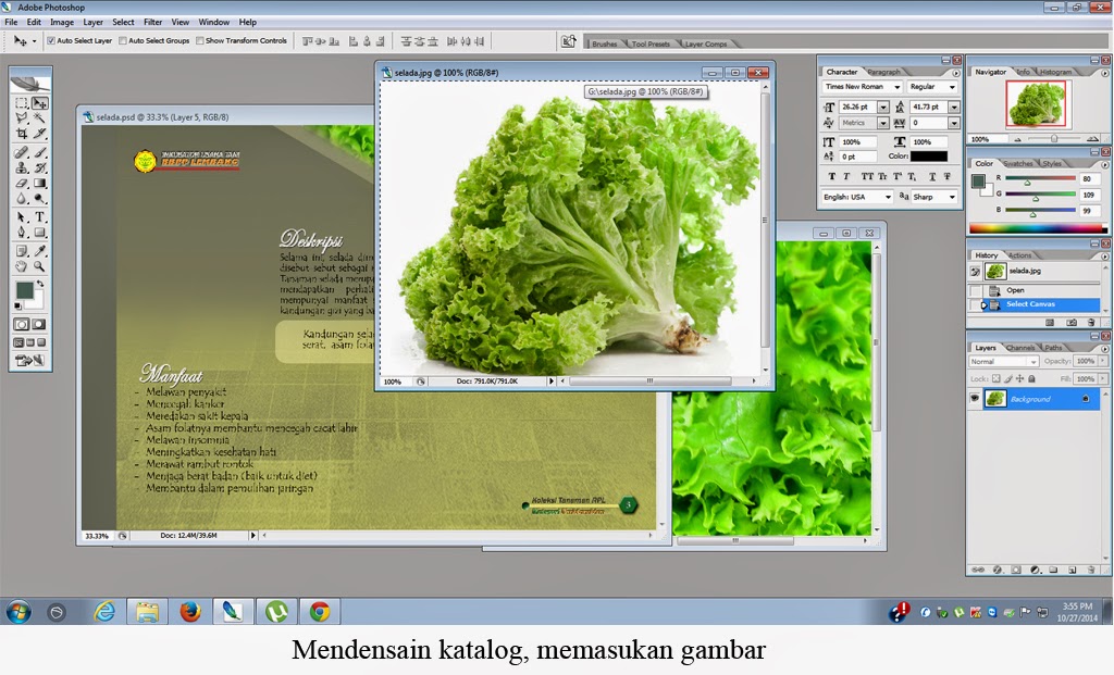 Contoh Laporan Kerja Praktek Desain Grafis Surat DD