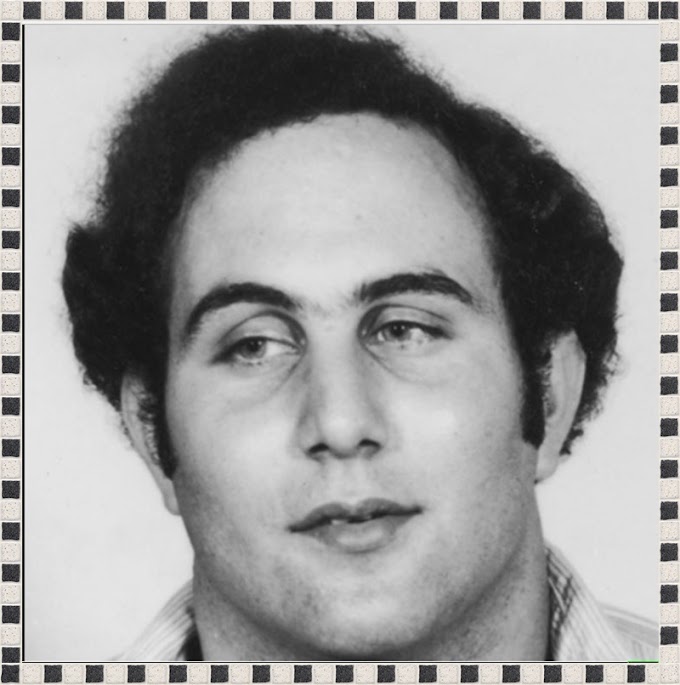 David Richard Berkowitz  serial killer