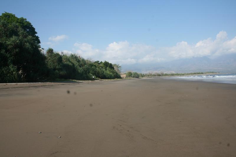 Destinasi Wisata Indonesia: Destinasi Wisata Bahari di Manggarai Timur, NTT