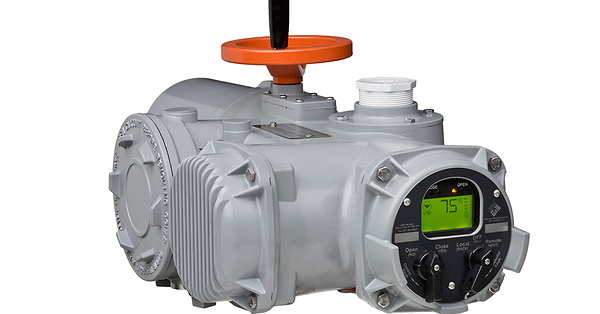 Eim Controls Actuator Manual