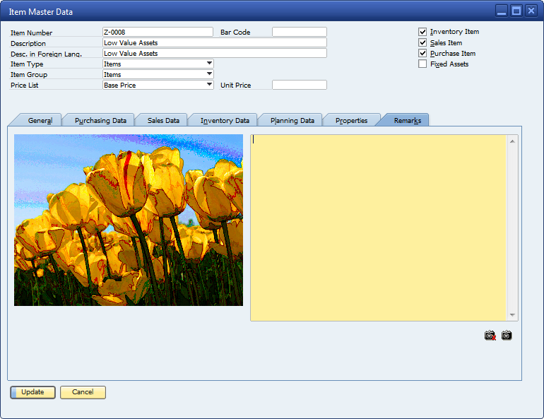 Item Master Data SAP Business One SAP business one