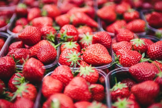 Strawberry Help Fight Cancer Strawberry Help Fight Cancer