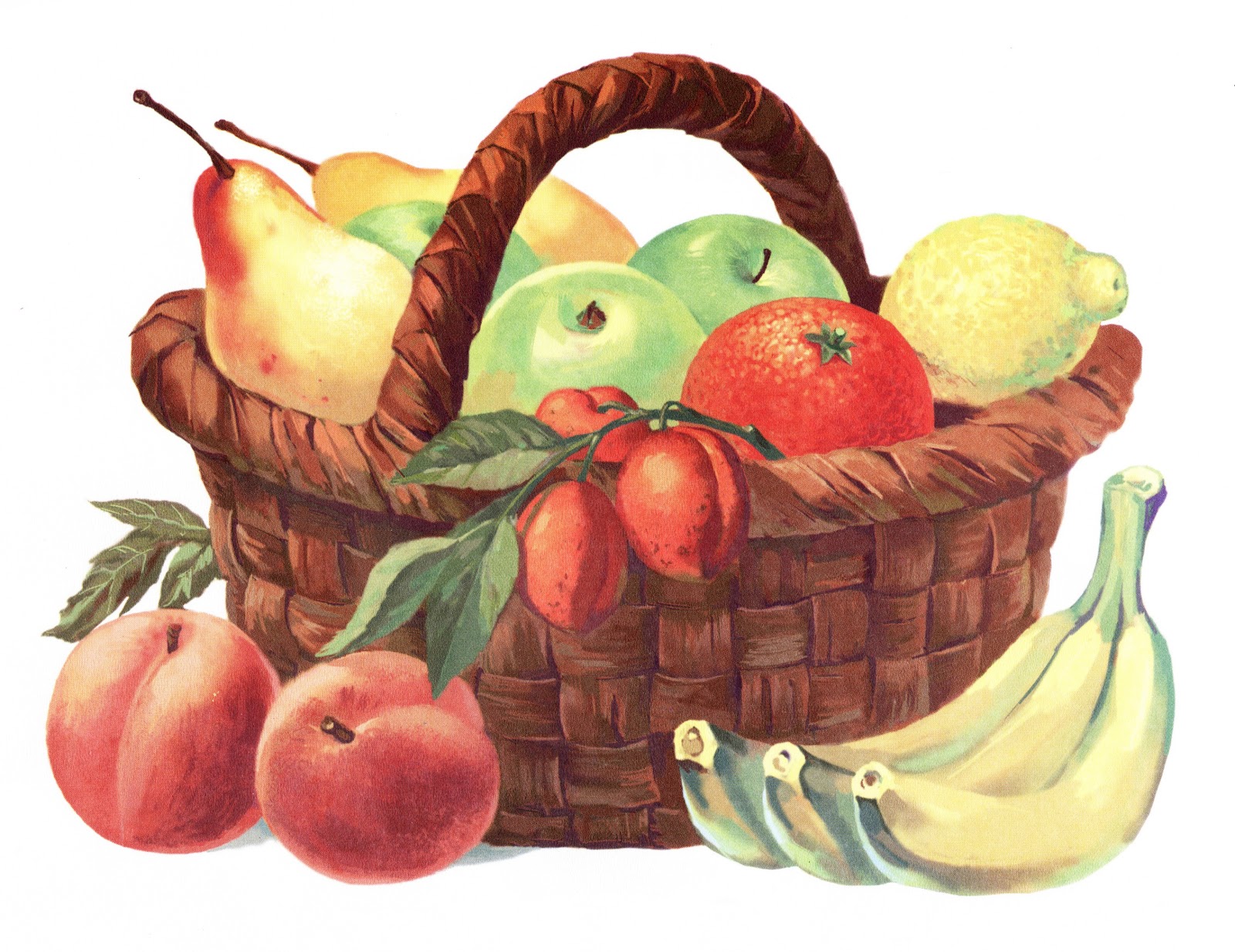 Картинки Овощи В Корзинке Для Детского Сада