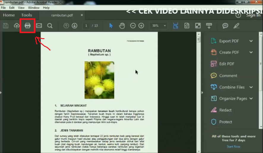 Cara Print PDF Full Ukuran Kertas F4 di Acrobat Reader DC