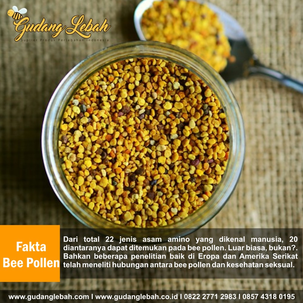 Manfaat Bee Pollen Bagi Ibu Hamil Produk Peternak Lebah