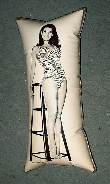 Raquel Welch pillow. photo source: https://waw5114.wordpress.com/2013/12/01/raquel-welch-pillow-from-1960s/