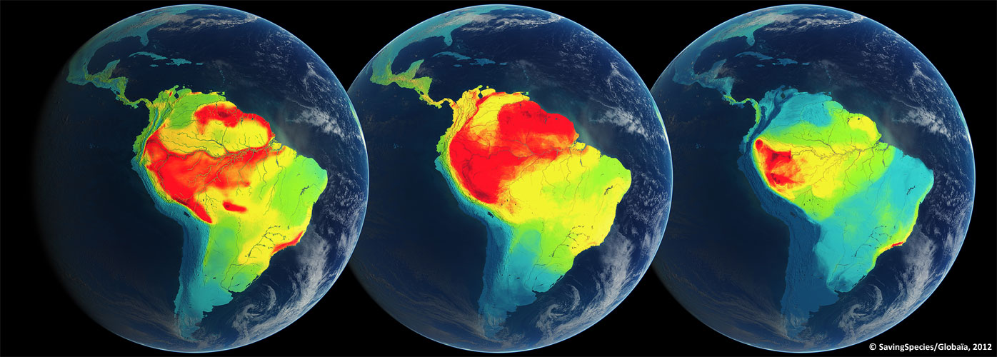 Density of endemic species of birds (left), mammals (middle), and amphibians (right) 
