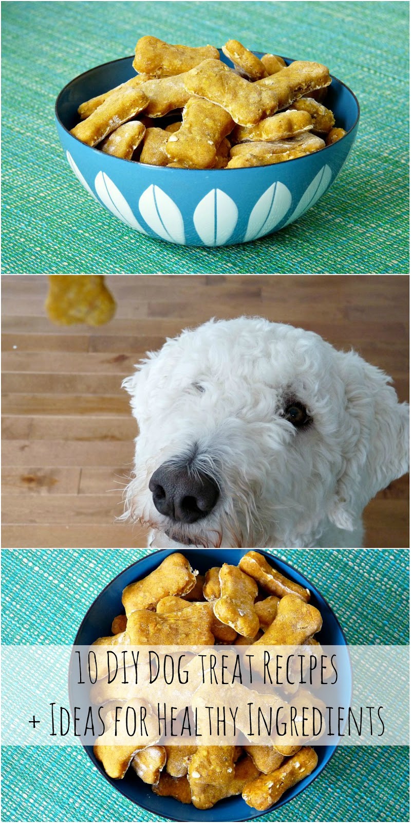 Homemade Dog Treats Easy Recipe Ideas Dans le Lakehouse