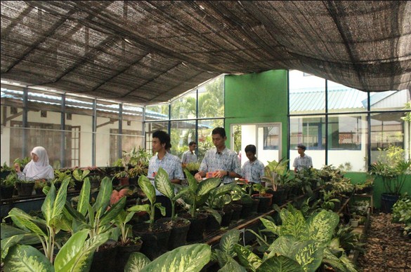 28+ Info Terpopuler Desain Taman Apotik Hidup