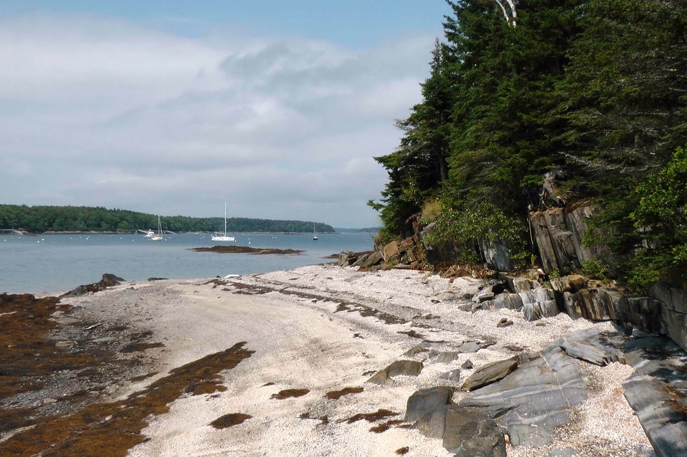 Life in the Slow Lane (The Pearl) Sept. 8 Lower Goose Island, ME