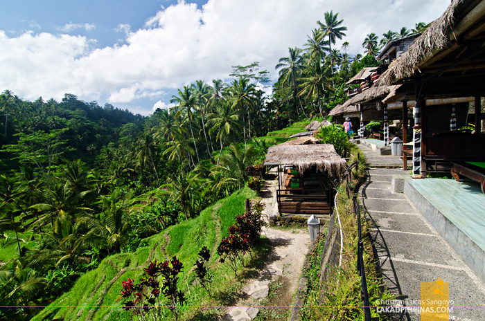 Tegalalang Rice Terraces Bali
