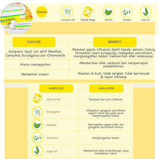 Transpulmin® Balsam Dan Kehangatan Ibu, Cara Mudah Redakan Influenza