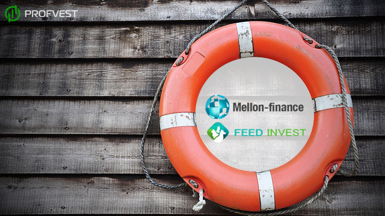 Выплата страховки по проектам Mellon Finance и Feed Invest Выплата страховки по Mellon Finance и Feed Invest