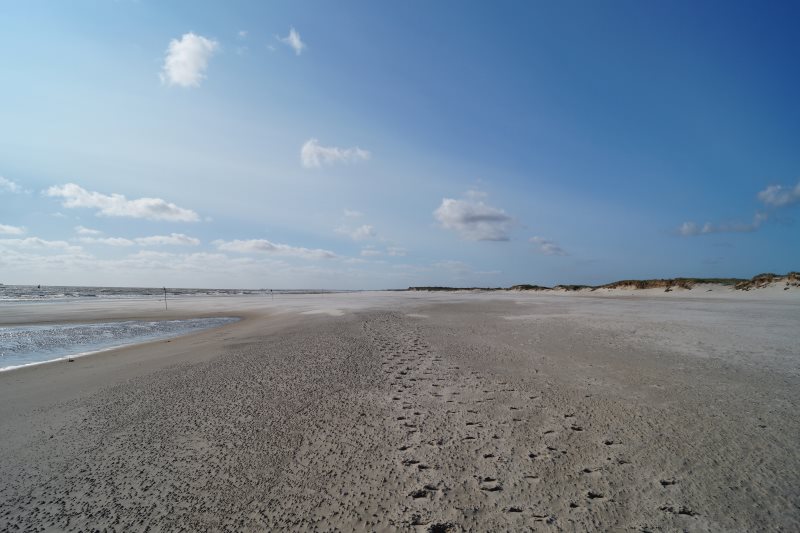 Küstenkidsunterwegs Auf der Halbinsel Skallingen