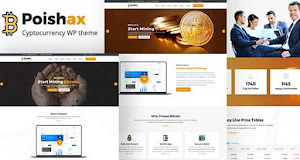 Let Poishax power your digital currencies site
