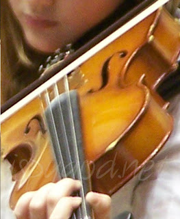 up close shot of viola player 