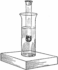 How to Make a Hydrometer