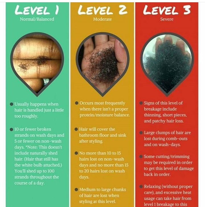 Natural Hair Journey Things To Look Out For