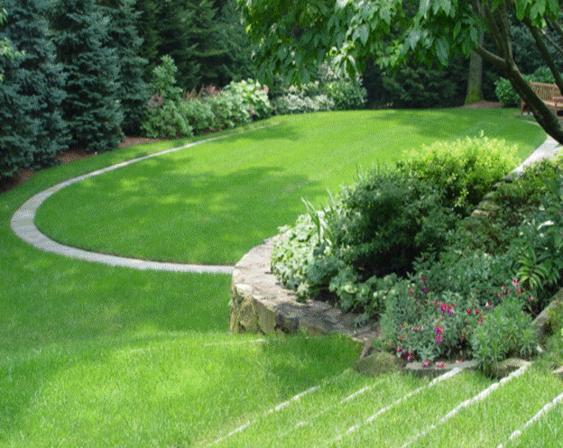 Yin Yang In The Garden A Landscape Design Tip Serenity In The Garden